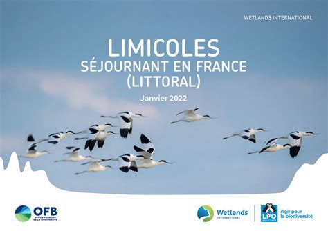 R Sultats Du Comptage Annuel Des Oiseaux Deau En France P Le