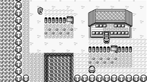 1996 Pokémon Rouge And Bleu La Naissance Dun Mythe Level 1