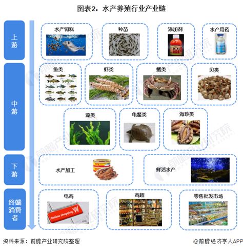 行业深度！一文带你详细了解2021年中国水产养殖市场供需现状、竞争格局及发展前景前瞻趋势 前瞻产业研究院