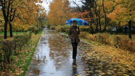 Погода в Харкові 2 листопада
