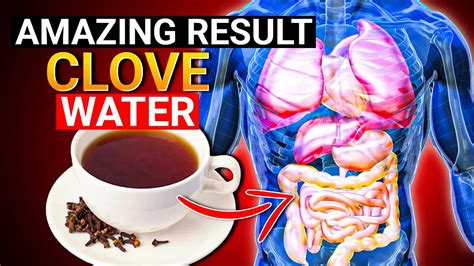 Clove Water Benefits At Night Doctors Never Say These Health