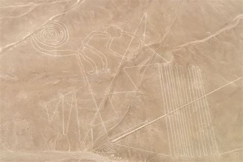 Desde Nazca Vuelo Sobre Las L Neas De Nazca Getyourguide