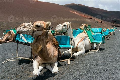 Timanfaya National Park 23379830 Stock Photo at Vecteezy