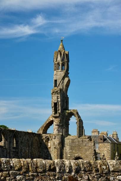 80 Ruin Of St Andrews Cathedral St Andrews Foto Foto Foto Stok Potret