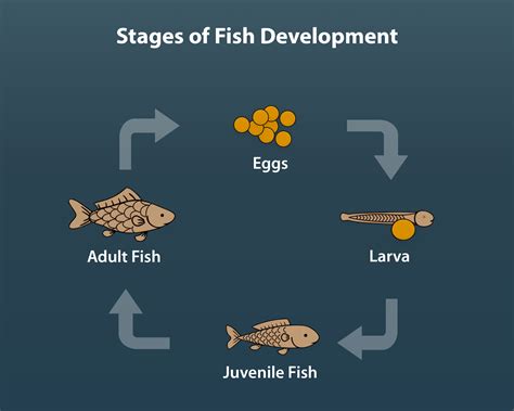 Fishery Management Guide — Part 1 Why Fishery Management Is Necessary