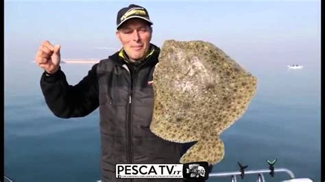 Pesca Del Rombo Con Marco Volpi Completo Youtube