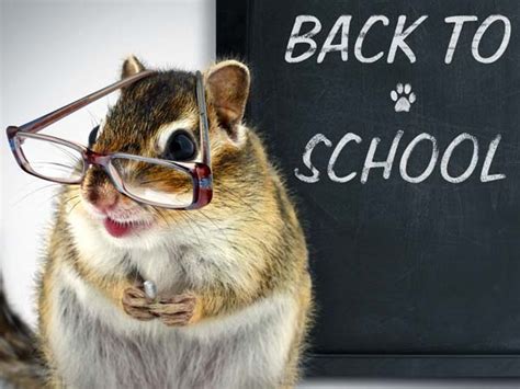 Top 10 Howlers That Became Teacher Jokes - Boldsky.com