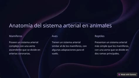 Introduccion Al Sistema Arterial 1 Pptx Descarga Gratuita