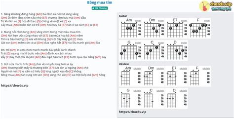 Chord: Bông mua tím - tab, song lyric, sheet, guitar, ukulele | chords.vip