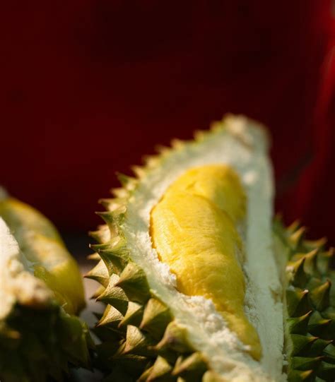 Terkenal Baunya Ini Manfaat Buah Durian Untuk Tubuh Tirtayasa Id