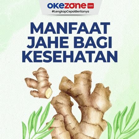 5 Manfaat Jahe Bagi Kesehatan 0 Foto Okezone Infografis