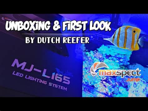 Unboxing First Look Maxspect Jump MJ L165 Blue LED YouTube