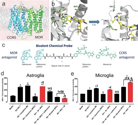 Differential Inhibition Of Hiv 1 Entry Into Human Glia By Maraviroc And