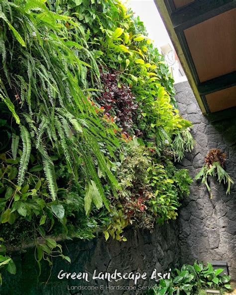 Jasa Tukang Vertical Garden Jakarta Jasa Taman Vertikal Di Jakarta