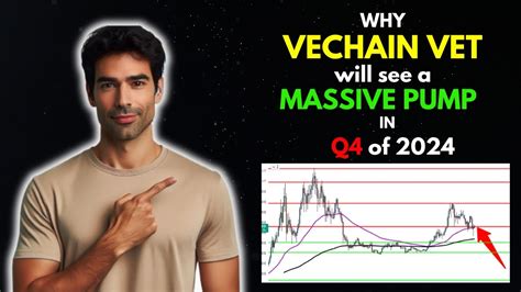 Why Vechain Vet Will See A Massive Pump In Q Vet Price Prediction