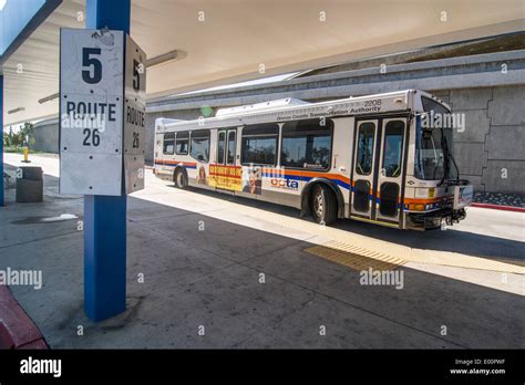 Octa Bus Brand New