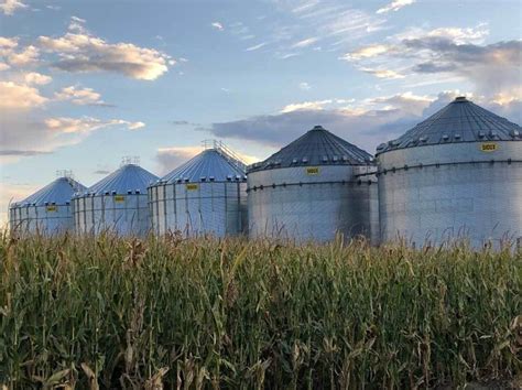 Grain Silo Farm