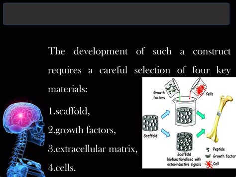 Biomaterials for tissue engineering slideshare | PPT