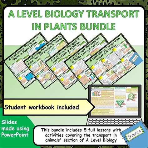 A Level Biology Transport In Plants Bundle Teaching Resources