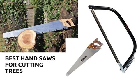 The 5 Best Hand Saws For Cutting Trees [ Longevity And Price ] 2023