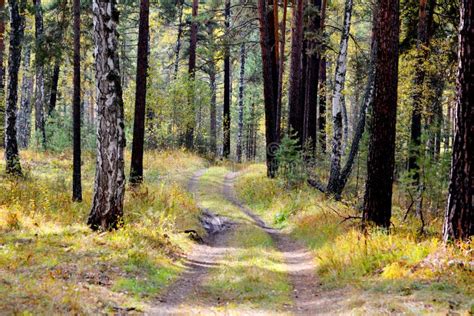 Nature Altaya stock image. Image of evening, season, artist - 60829415