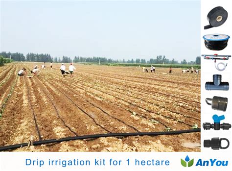 China Drip Irrigation Kit For Hectare Factory And Manufacturers Anyou