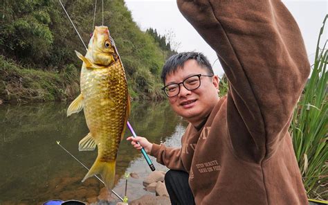 又把全村钓鱼佬按在地上 荷塘星星 荷塘星星 哔哩哔哩视频