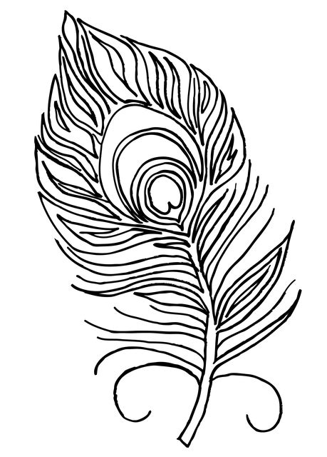 Download Peacock Feather, Coloring Book, Feather. Royalty-Free Stock ...