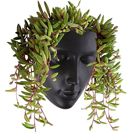 Amazon Yikush Wall Planter Head Planters For Indoor Outdoor