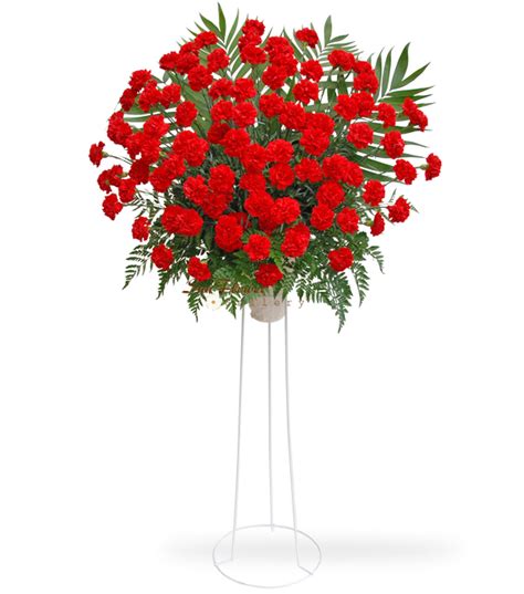 100 Red Carnation Standing Spray Flowers In Glenview IL Sun Flower