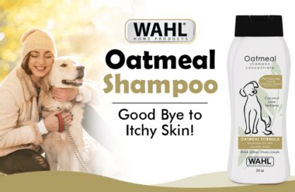 7 Best Dog Shampoo Brands | How to Pick one? Buying Guide