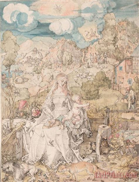 albrecht durer durer drawing mary  animals painting durer drawing