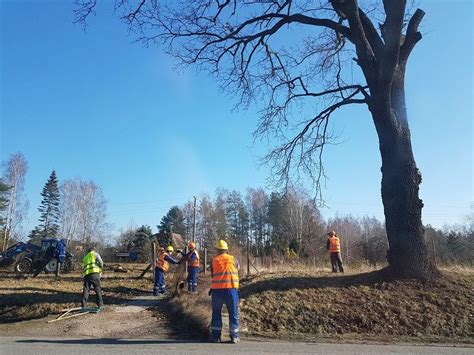 Na czym polegają prace przygotowawcze na budowie uprawnienia