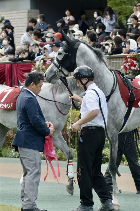 舞夢🐎🎀 On Twitter 2023年4月23日 東京競馬場 11r サンスポ賞フローラs イトカワサクラ⑦ ゴールドシップ産駒