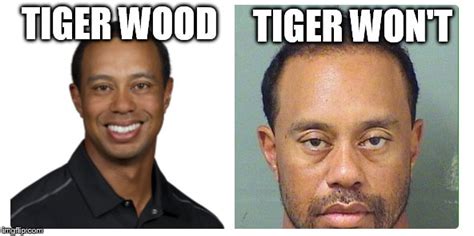 Good Tiger Bad Tiger Imgflip