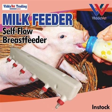 Milk Feeder For Piglet Pig Milk Feeder Piglet Auto Milk Feeder Milk