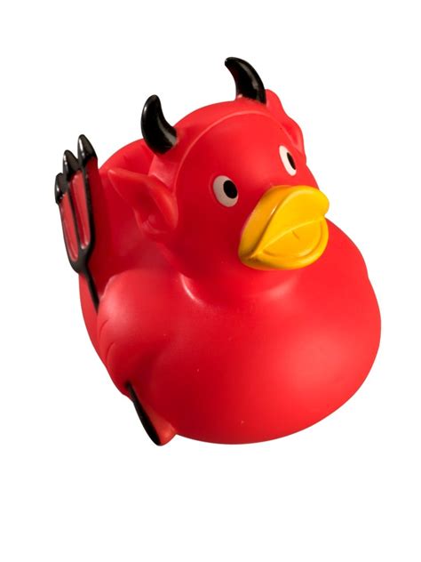 Red Beak Water Bird Ducks Geese And Swans Free Photos On