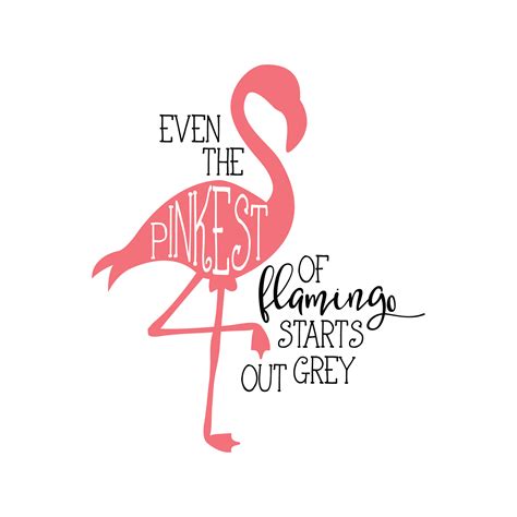 Flamingo Clipart Svg Festivalloki