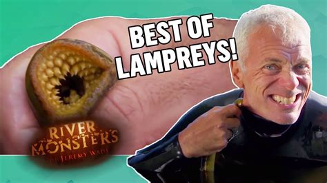 The Best Of Lampreys Compilation River Monsters Youtube