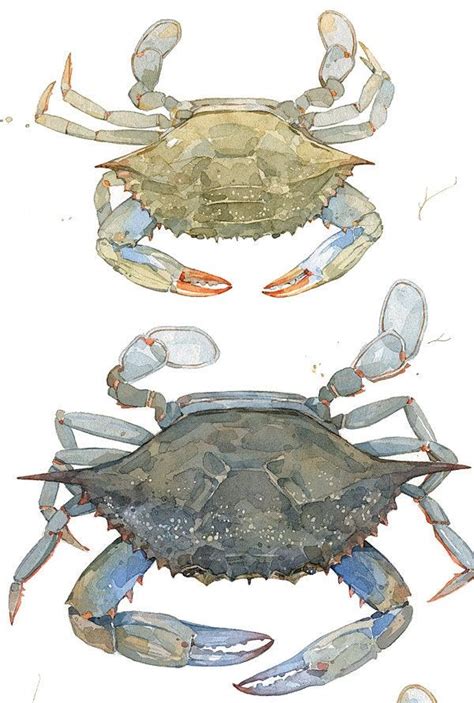 Blue Crabs Watercolor Painting Print Coastal Beach Art Seaside Decor