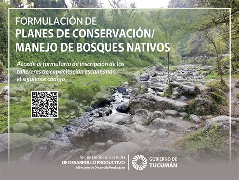 Formulación de Planes de Conservación Manejo de Bosques Nativos