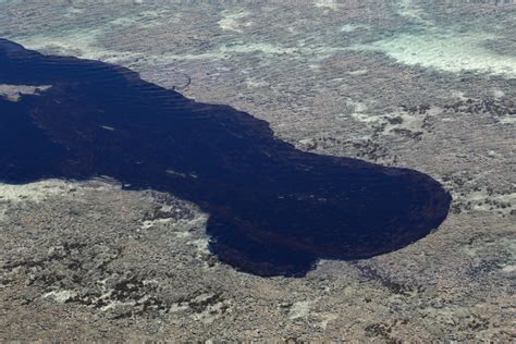 El Petr Leo Mancha Las Paradis Acas Playas De Brasil