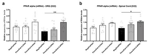 Peroxisome Proliferator Activated Receptor α Ppar α Mrna Expression