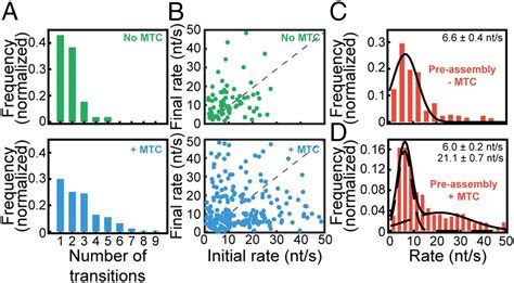 Single Molecule Visualization Of Saccharomyces Cerevisiae Leading