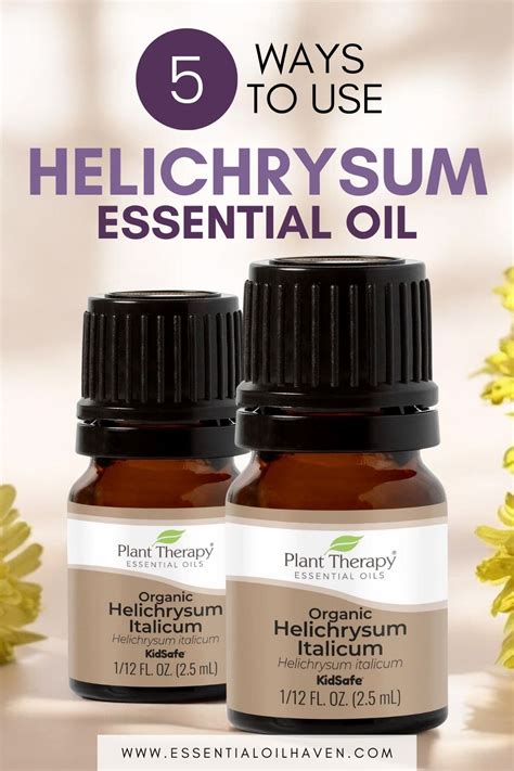 How To Use Helichrysum Essential Oil Top 5 Benefits