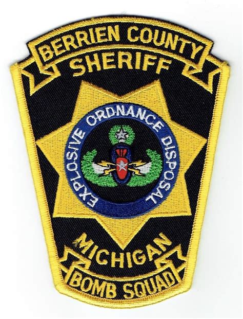 BCSO BS MI | Police patches, Squad, Police badge