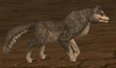 L2 Lineage 2 Get a Pet | DESIGN GRAFIS