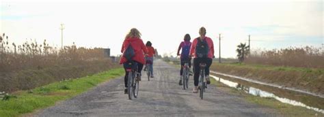 Desde Deltebre Excursi N En Bici Y Kayak Por El Delta Del Ebro Y La