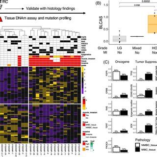 Selective Driver And Tissueoforigin Dna Methylation Signature