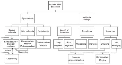 Algorithm For Management Of Spontaneous SMA Dissection SMA Superior